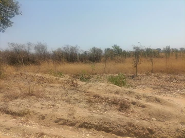 Farm & Agricultural Land