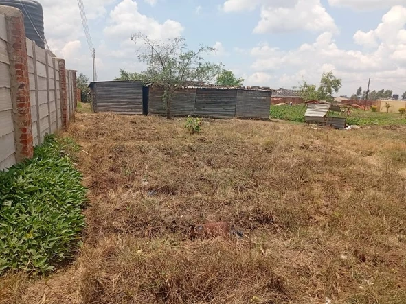 Stands & Residential Land