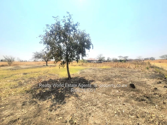 Corner Residential Stand for Sale – Galloway Park, Norton (Sole Mandate)