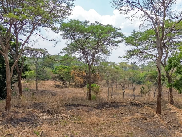 Land