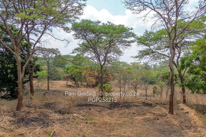 Two And Half Hectares of Land on Highland Glen  (Sole Mandate)