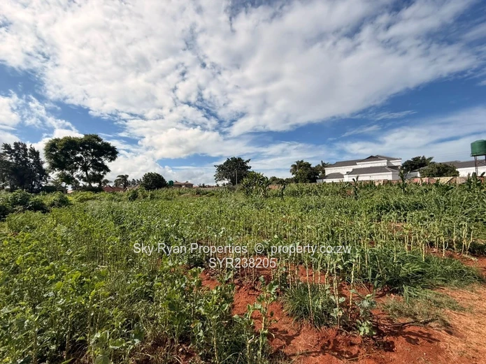 Westgate Stand For Sale