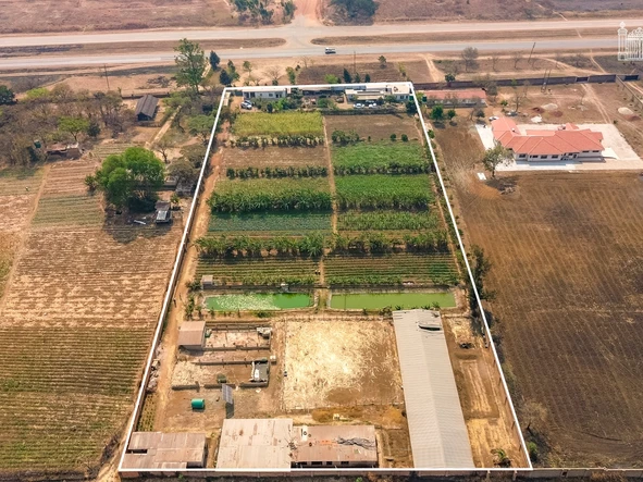Farm & Agricultural Land