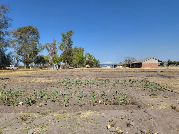 Farm & Agricultural Land