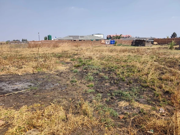 Stands & Residential Land