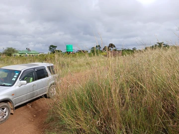 Stands & Residential Land