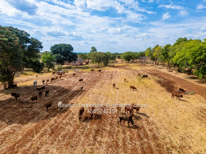 Prime 1,000ha Farm near Chegutu — Mashonaland West