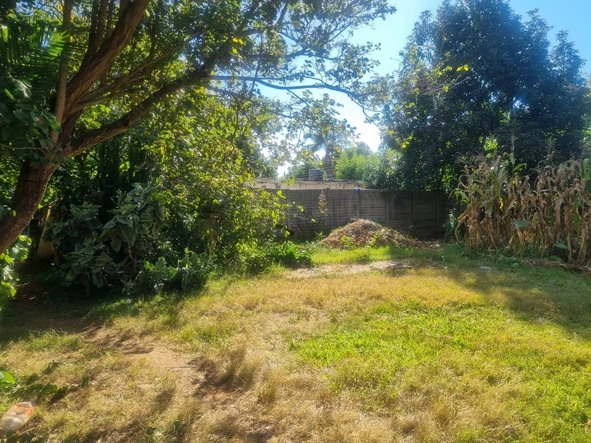 Stands & Residential Land