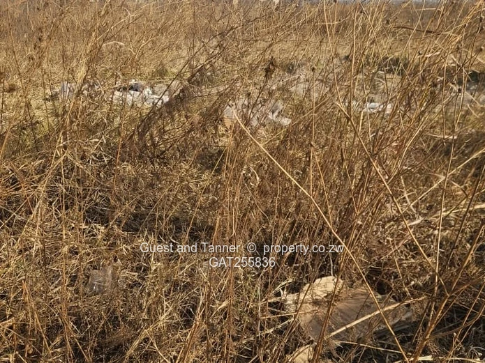 NYEREDZI RIDGE, POMONA | HARARE NORTH - 500m² Residential Stand for Sale