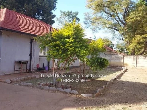 Meyrick park house for sale