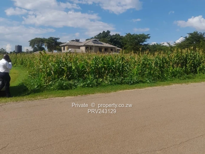 Bluffhill Stand For Sale