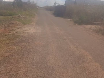Nyeredzi Ridge stand for sale 