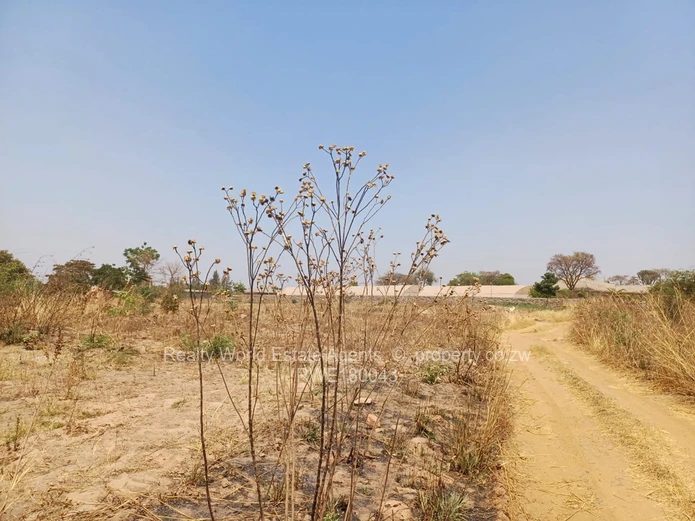 Rydale Ridge Stand For Sale 