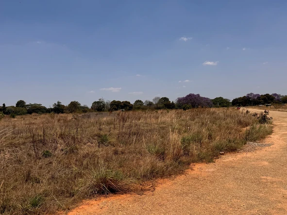 Farm & Agricultural Land
