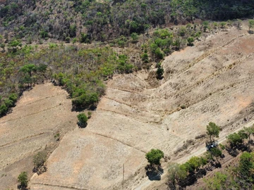 Farm & Agricultural Land