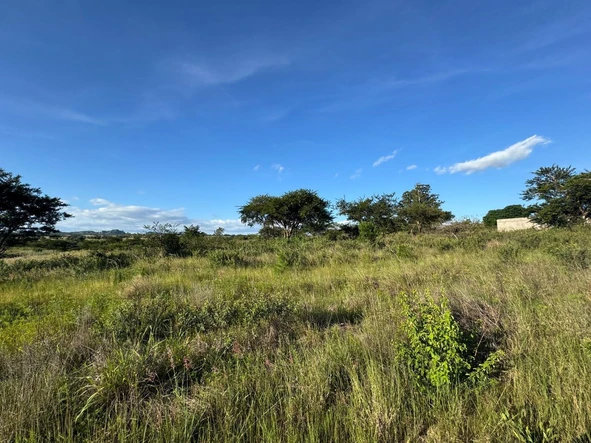 Commercial & Industrial Land