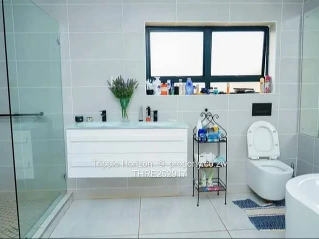 Investment Opportunity 