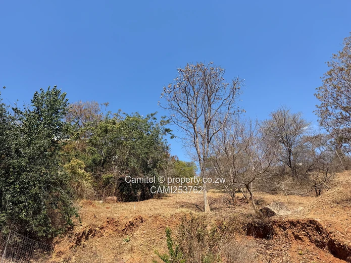 6005 sqm Stand, Borrowdale Brooke inside the boom gateTarred, Tree-Lined Main Road