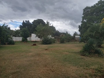 Stands & Residential Land