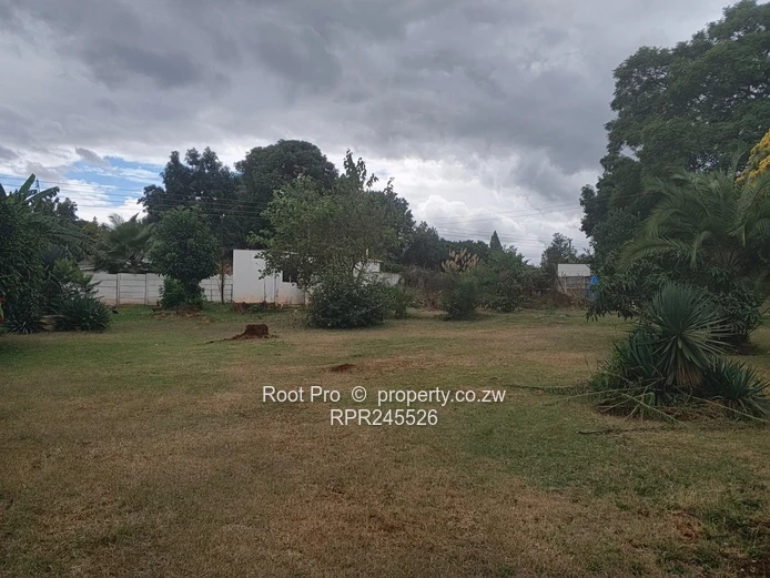 Greendale Stand for Sale 