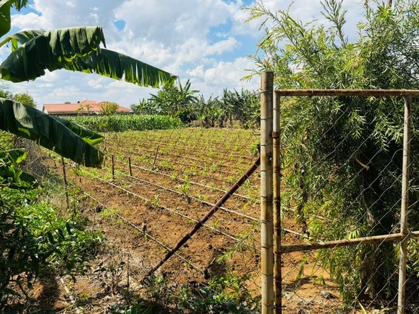 Farm & Agricultural Land