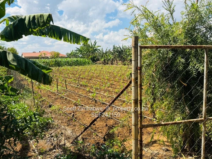 Prime Multi-Purpose Plot | Knowe, Norton