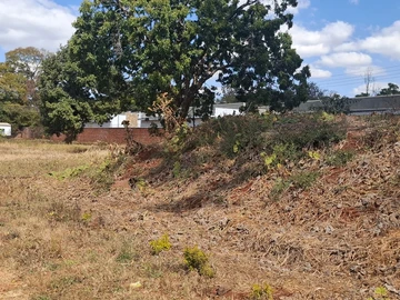 Stands & Residential Land