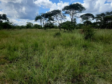 Farm & Agricultural Land