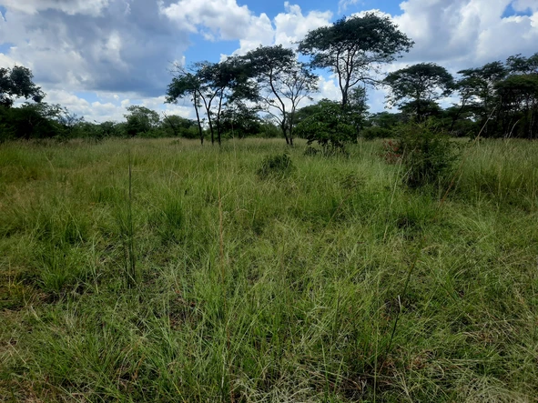 Plot for sale