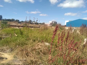 Commercial & Industrial Land