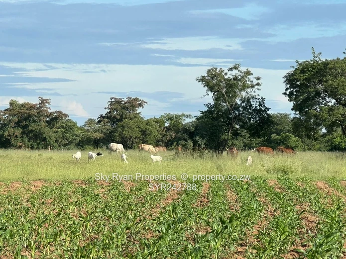 Chegutu Drummond Farm For Sale