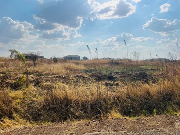 Stands & Residential Land