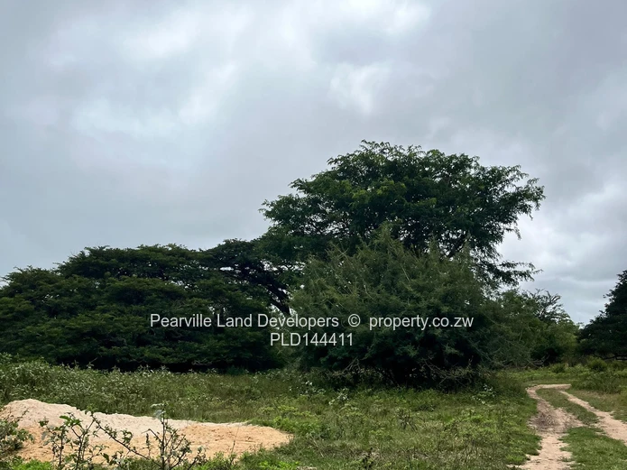 20-23ha agro-residential land,3km from the Masvingo Rd
