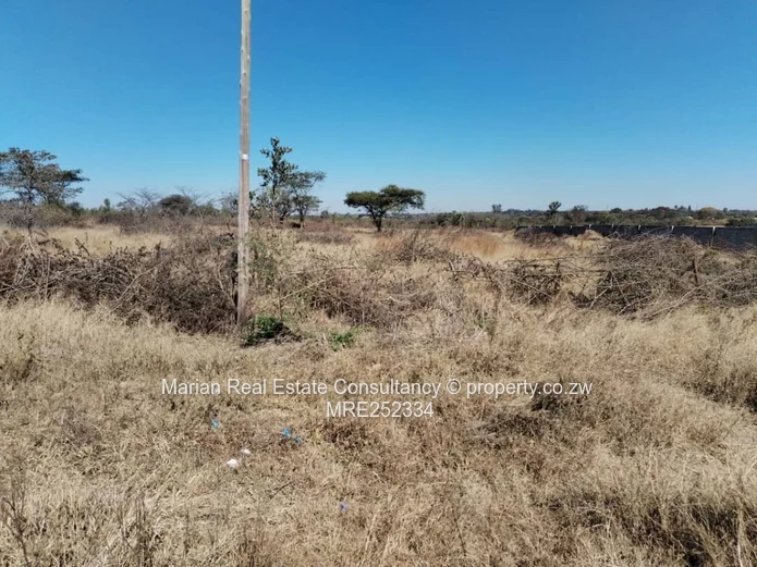 Douglasdale Stand For Sale