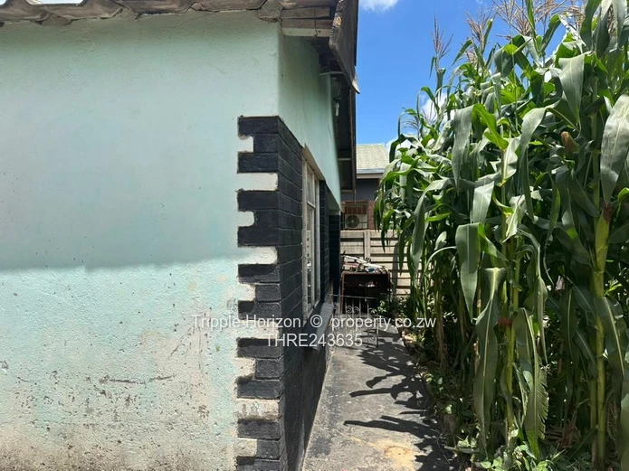 4-Bed St Marys Home on Main Road — Walled & Paved Yard