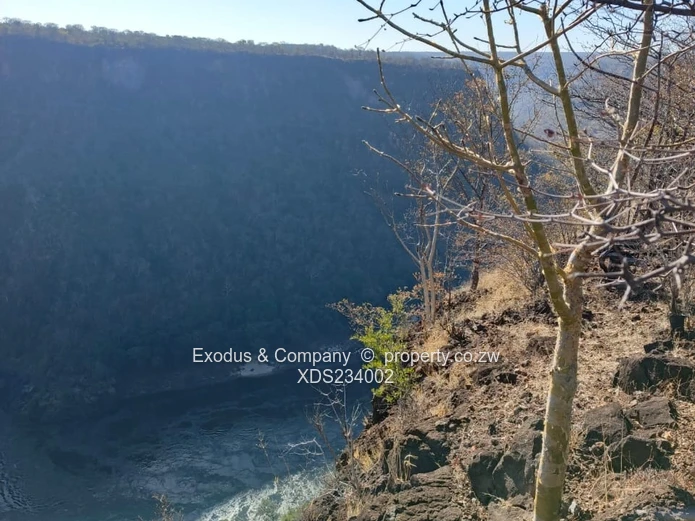 The Zambezi Gem — Where Nature Meets Prestige