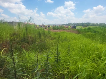 Stands & Residential Land