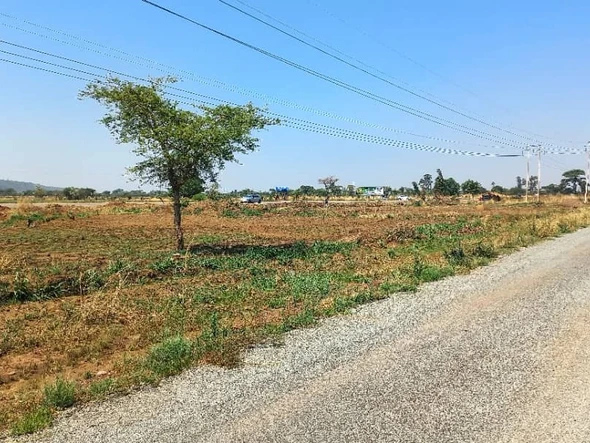 Stands & Residential Land