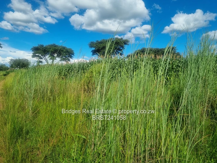 Agro Residential Parcel (Sole Mandate)