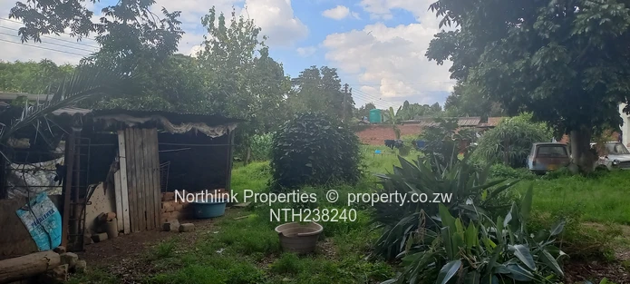 Investment Opportunity in Newlands (Sole Mandate)