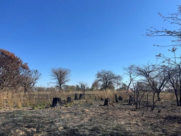 Commercial & Industrial Land