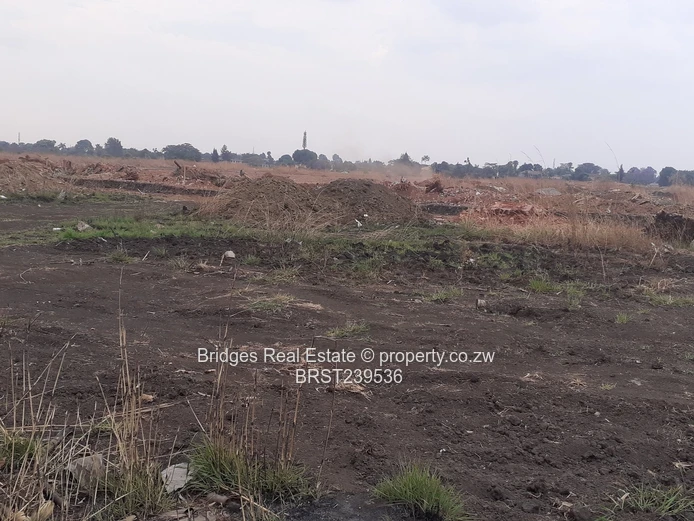 Meet the future,today! The richest sq mile in Harare.