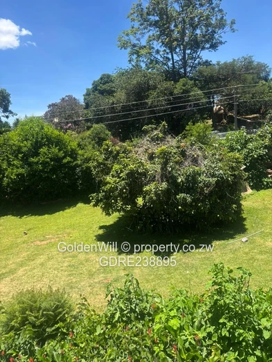 Greystone park House to rent 