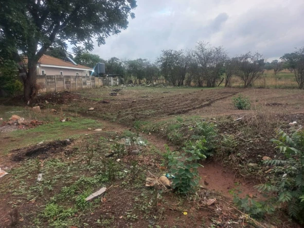 Stands & Residential Land