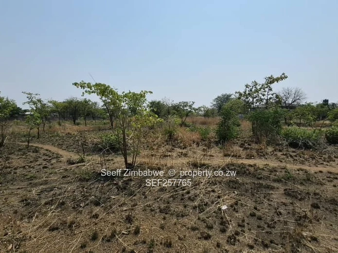4800 m² Stand in Galloway — Norton