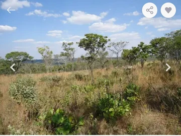 Farm & Agricultural Land