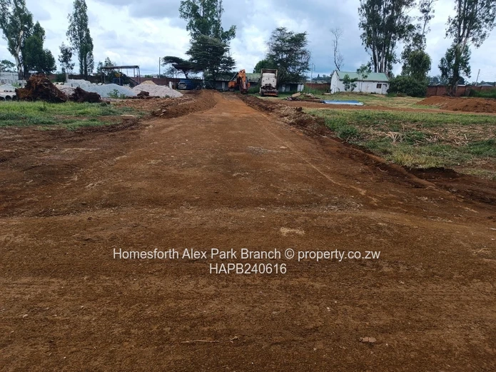 Borrowdale Tall Trees Estate Stands on Sale