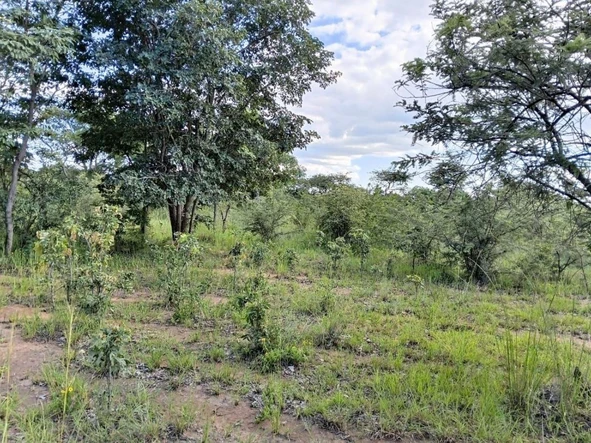 Farm & Agricultural Land