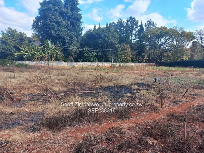 Prime Investment Opportunity in Mtausi Park, Gweru