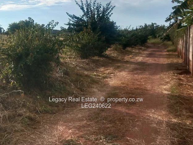 Premium Exclusive Borrowdale Quinnington Development Opportunity